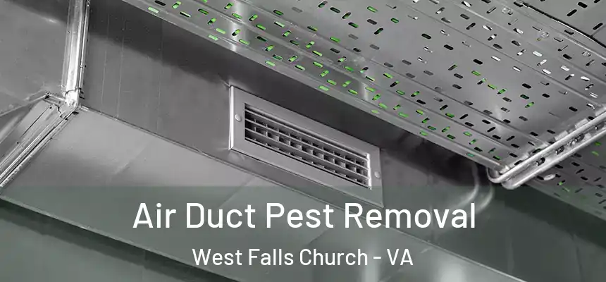 Air Duct Pest Removal West Falls Church - VA