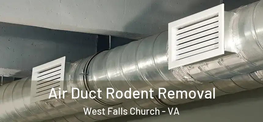 Air Duct Rodent Removal West Falls Church - VA