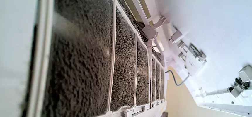 Preventive Air Duct Bacteria Removal in West Falls Church