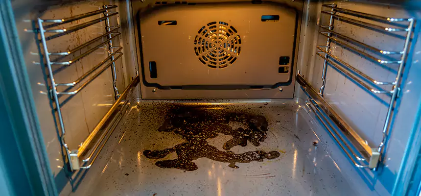 Our Dryer Vent Mold Cleaning Services in West Falls Church, VA