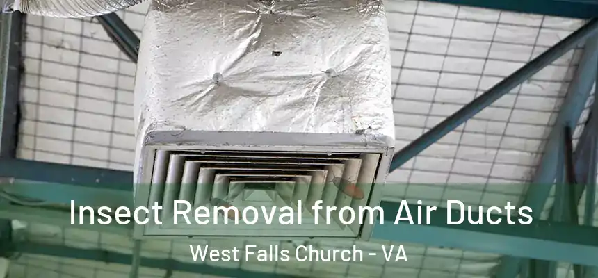 Insect Removal from Air Ducts West Falls Church - VA