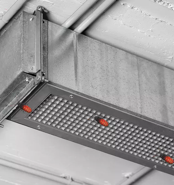 About Air Duct Cockroach Removal in West Falls Church, VA