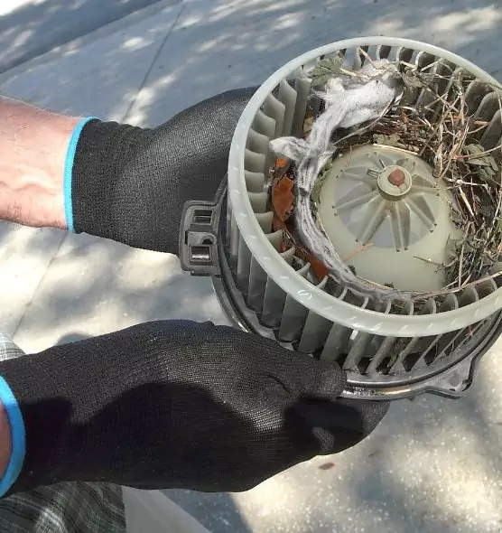 About Air Duct Mice Removal in West Falls Church, VA