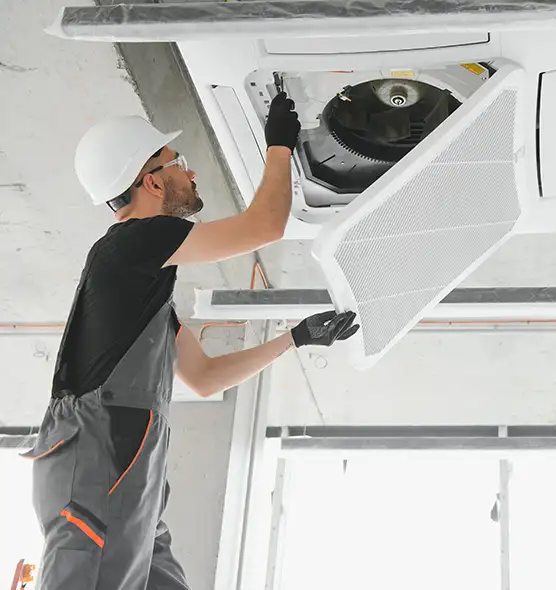 About Air Duct Rodent Removal in West Falls Church, VA