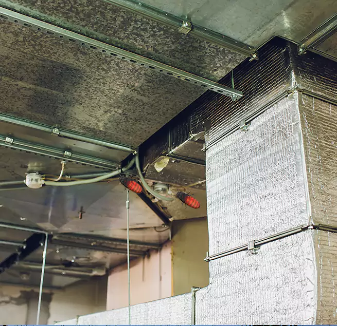 Why Homeowners & Businesses Trust Us in West Falls Church, VA?