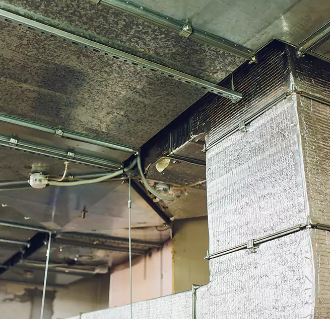 Why Homeowners & Businesses Trust Us in West Falls Church, VA?